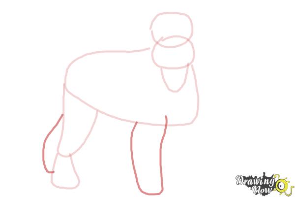 How to Draw a Schnauzer - Step 5