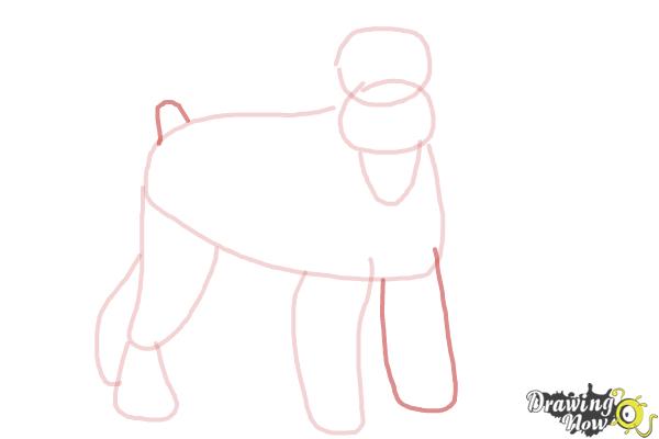 How to Draw a Schnauzer - Step 6