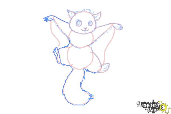 How to Draw a Flying Squirrel - Step 13 How to Draw a Flying Squirrel - Step 13
