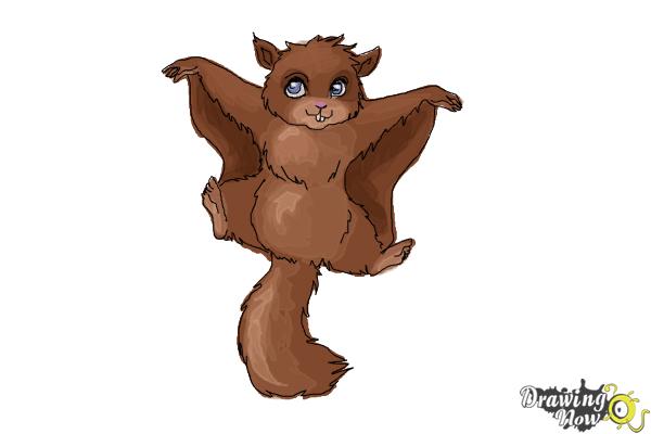 How to Draw a Flying Squirrel - Step 15