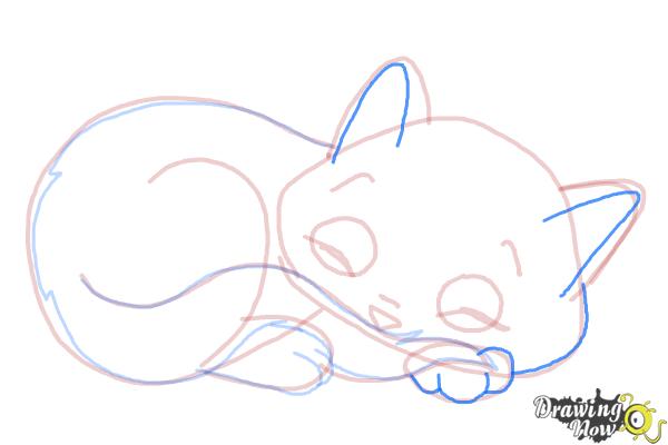 How to Draw a Sleeping Cat - Step 12