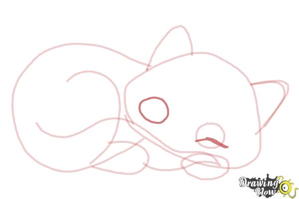 How to Draw a Sleeping Cat - Step 8