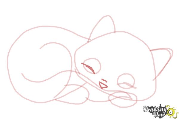 How to Draw a Sleeping Cat - Step 9