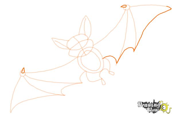 How to Draw a Bat For Kids - Step 8