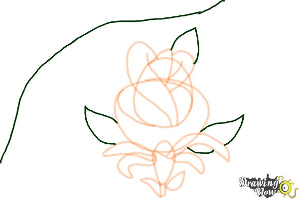 How to Draw a Rose Tattoo - Step 9
