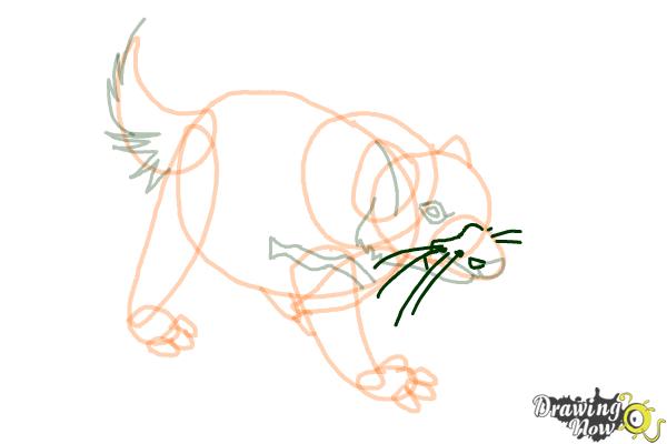 How to Draw a Tasmanian Devil - Step 10