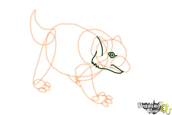 How to Draw a Tasmanian Devil - Step 8