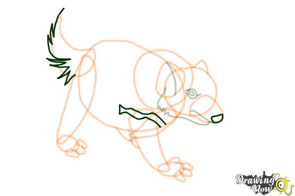 How to Draw a Tasmanian Devil - Step 9