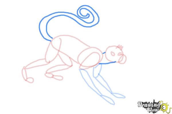 How to Draw a Spider Monkey - Step 11