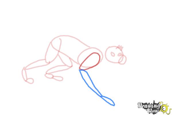 How to Draw a Spider Monkey - Step 9