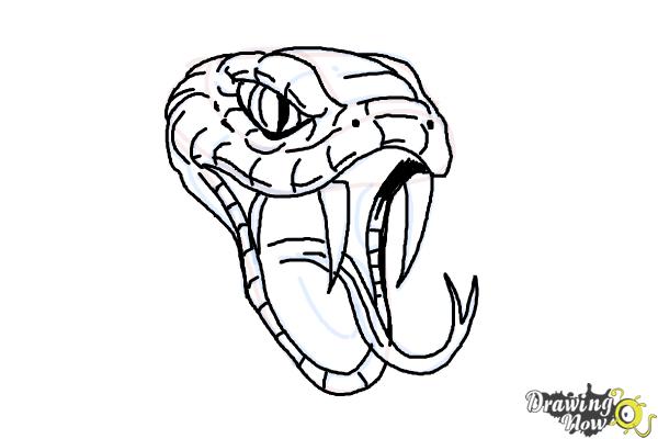 Featured image of post How To Draw A Snake Face A striking snake drawing can charm or intimidate