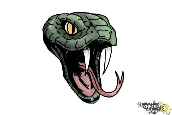How to Draw a Snake Head - Step 14