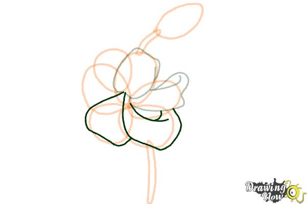 How to Draw a Tiger Lily - Step 5