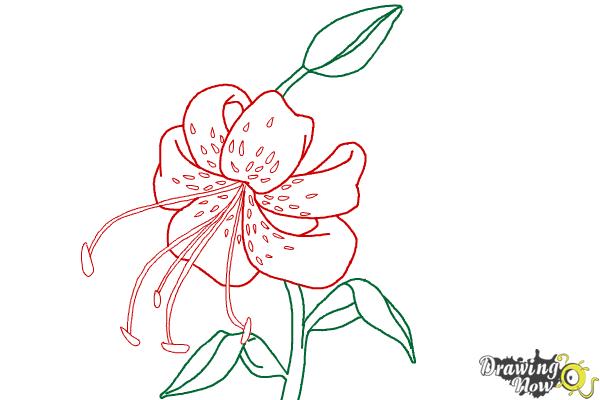 Coloring Page