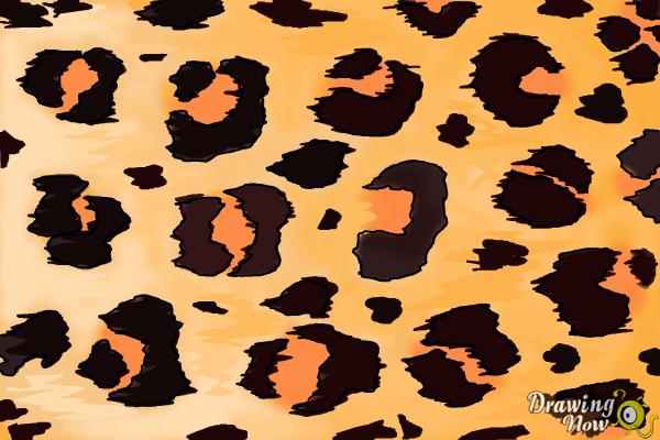 How to Draw Leopard Print - Step 11