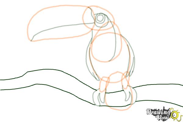 How to Draw a Toucan Step by Step - Step 10