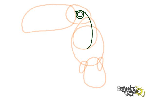 How to Draw a Toucan Step by Step - Step 6