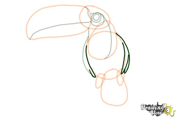 How to Draw a Toucan Step by Step - Step 8