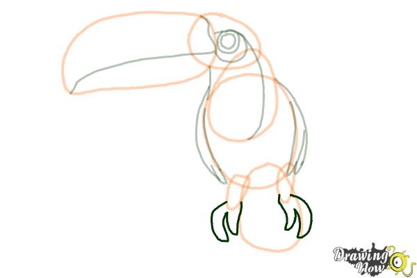 How to Draw a Toucan Step by Step - Step 9