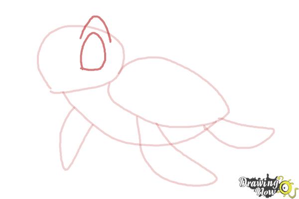 How to Draw a Tortoise - Step 5