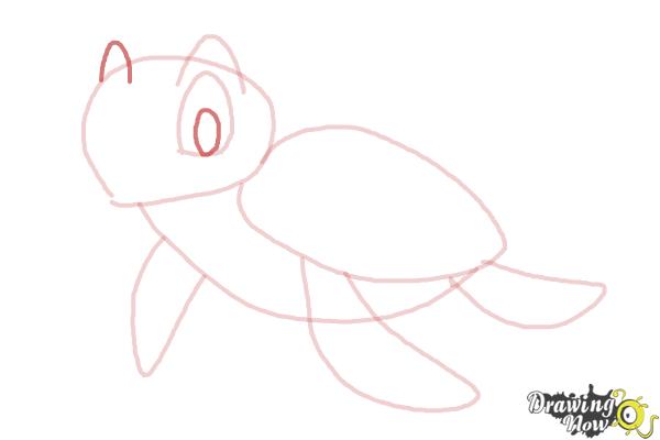How to Draw a Tortoise - Step 6