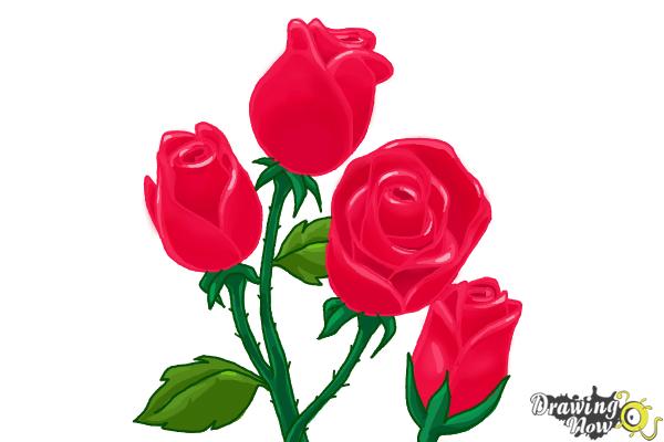 How to Draw Roses Step by Step - Step 19