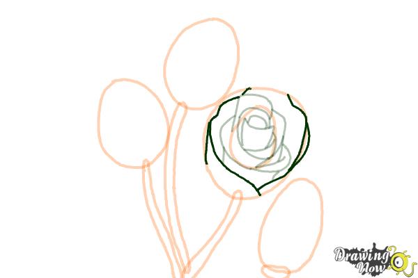 How to Draw Roses Step by Step - Step 8