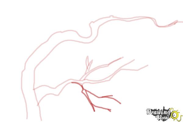 Branches Drawing - How To Draw Branches Step By Step