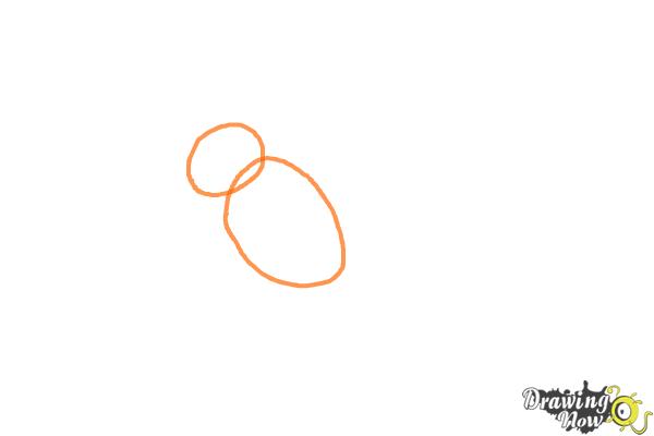 How to Draw Talonflame from Pokemon X And Y - Step 1 How to Draw Talonflame from Pokemon X And Y - Step 1