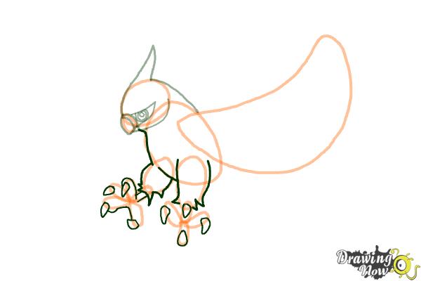 How to Draw Talonflame from Pokemon X And Y - Step 5 How to Draw Talonflame from Pokemon X And Y - Step 5