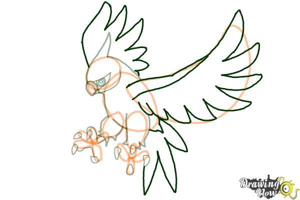 How to Draw Talonflame from Pokemon X And Y - Step 6