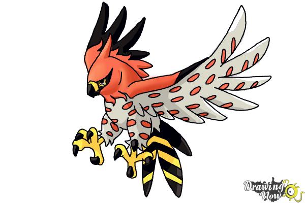 How to Draw Talonflame from Pokemon X And Y - Step 9