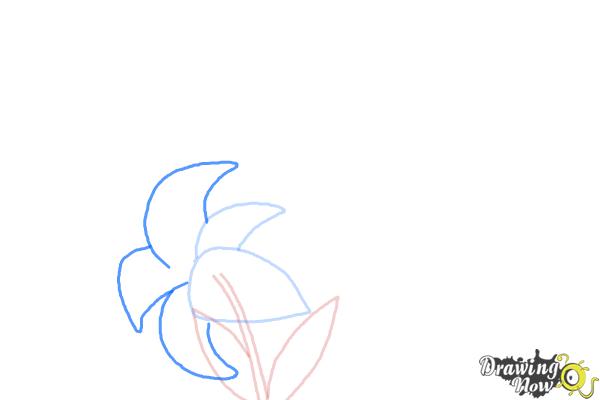 How to Draw a Stargazer Lily - Step 4