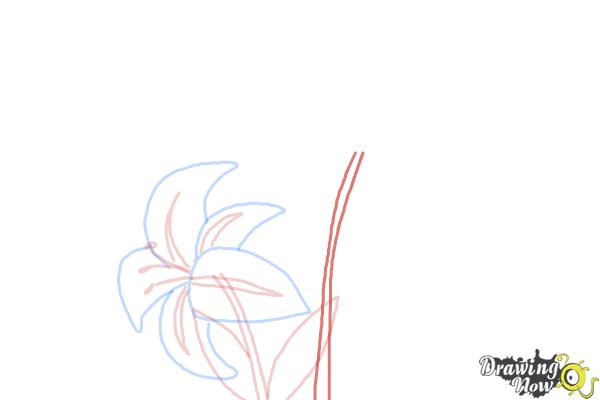 How to Draw a Stargazer Lily - Step 7