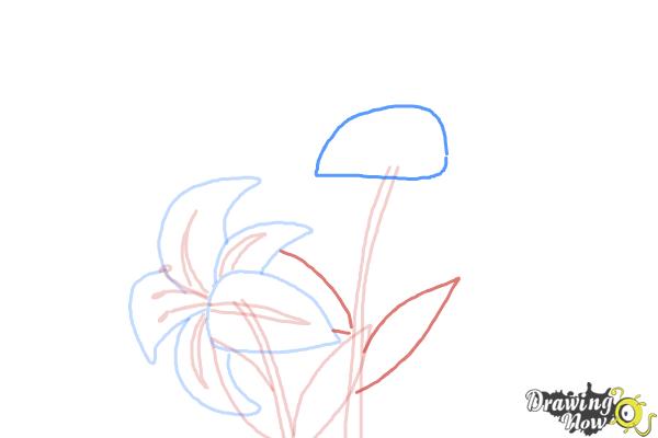 How to Draw a Stargazer Lily - Step 8