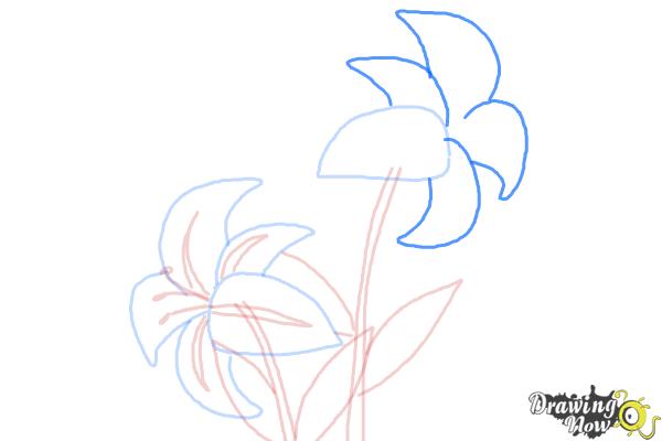 How to Draw a Stargazer Lily - Step 9