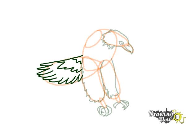 How to Draw a Bald Eagle Step by Step - Step 9