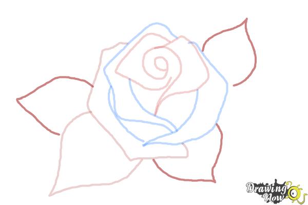 How to Draw a Beautiful Rose - Step 5