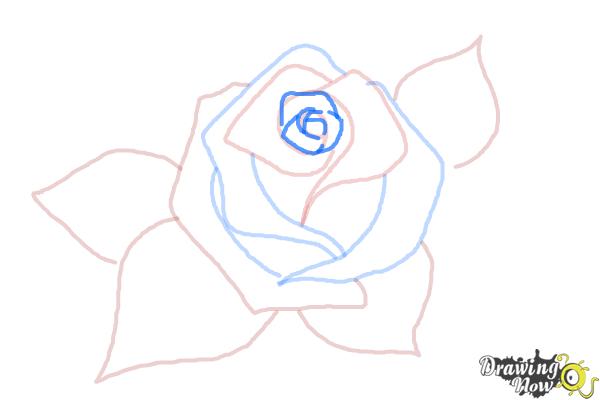 How to Draw a Beautiful Rose - Step 6