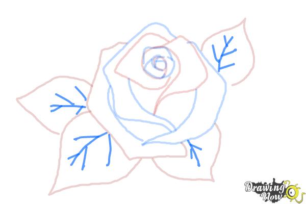 How to Draw a Beautiful Rose - Step 7