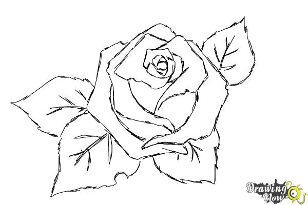 Coloring Page