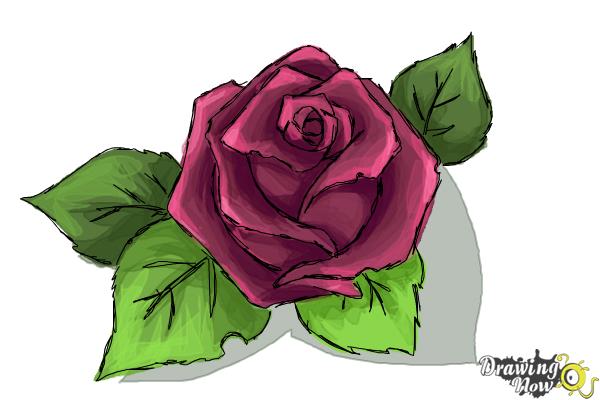 How to Draw a Beautiful Rose - Step 9