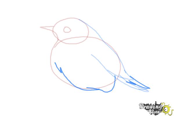 How to Draw a Bluebird - Step 5