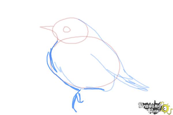 How to Draw a Bluebird - Step 6