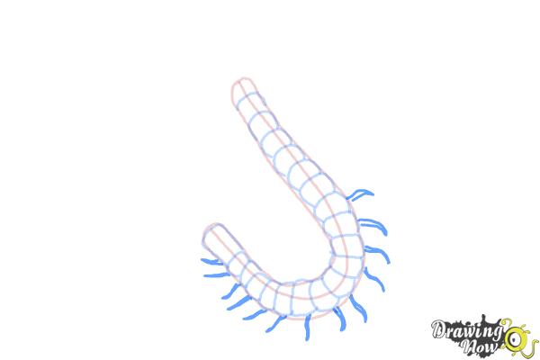 How to Draw a Centipede - Step 5
