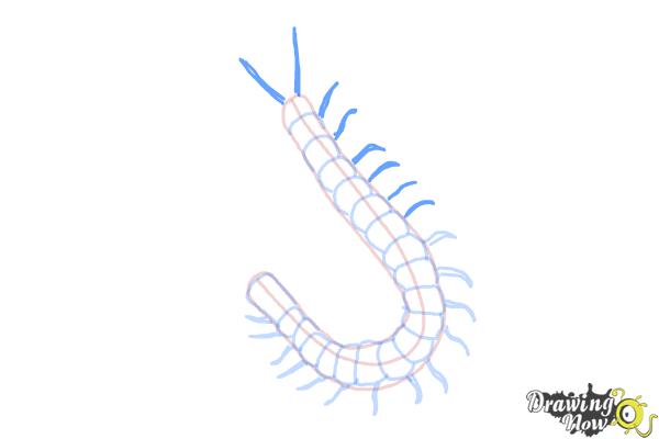 How to Draw a Centipede - Step 6