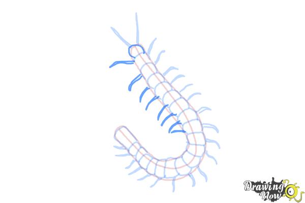How to Draw a Centipede - Step 7