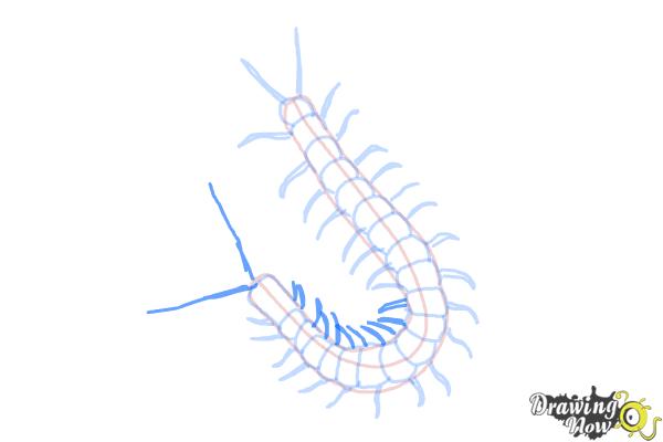 How to Draw a Centipede - Step 8