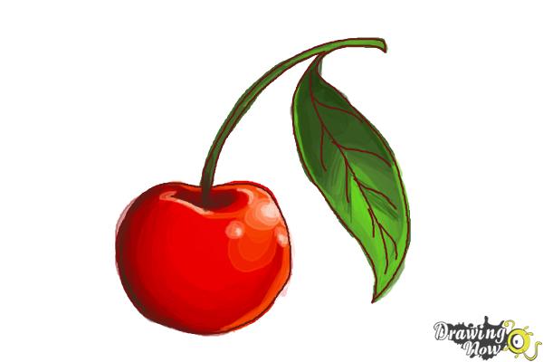 How to Draw a Cherry - Step 7