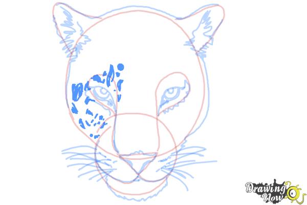 How to Draw a Cheetah Face - Step 11